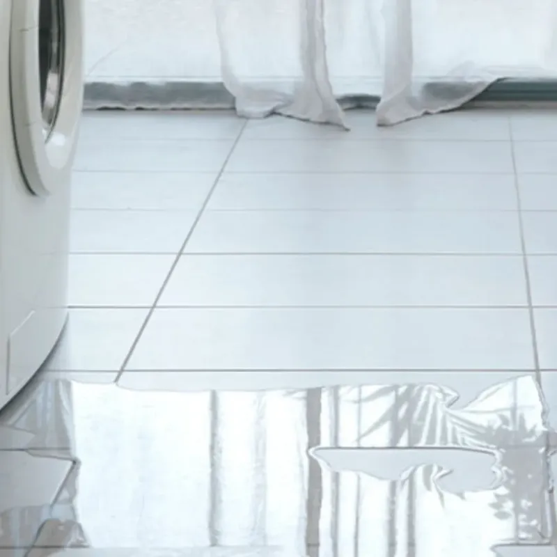 Appliance Leak Cleanup in East Alton, IL