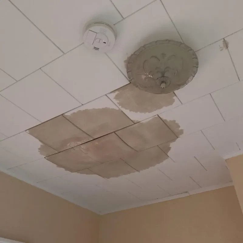 Ceiling Water Damage Repair in East Alton, IL