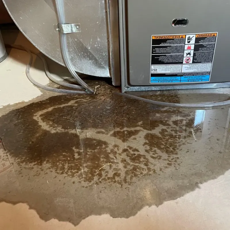 Pipe Burst and Leak Restoration in East Alton, IL