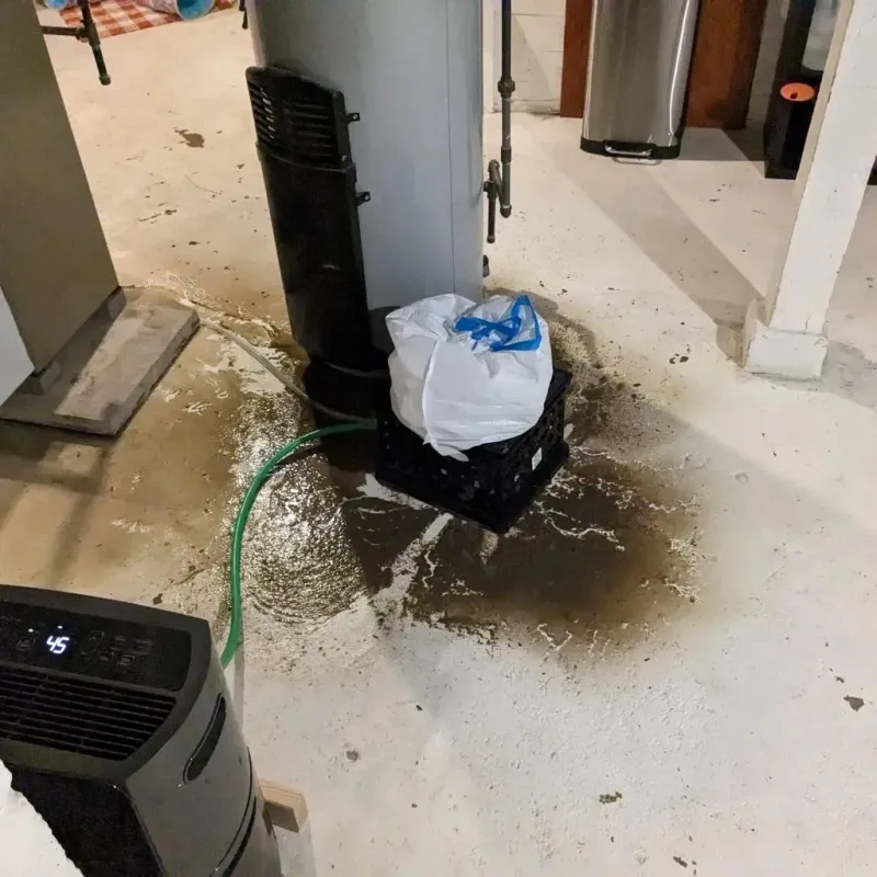 Sewage Backup Cleanup Service in East Alton, IL